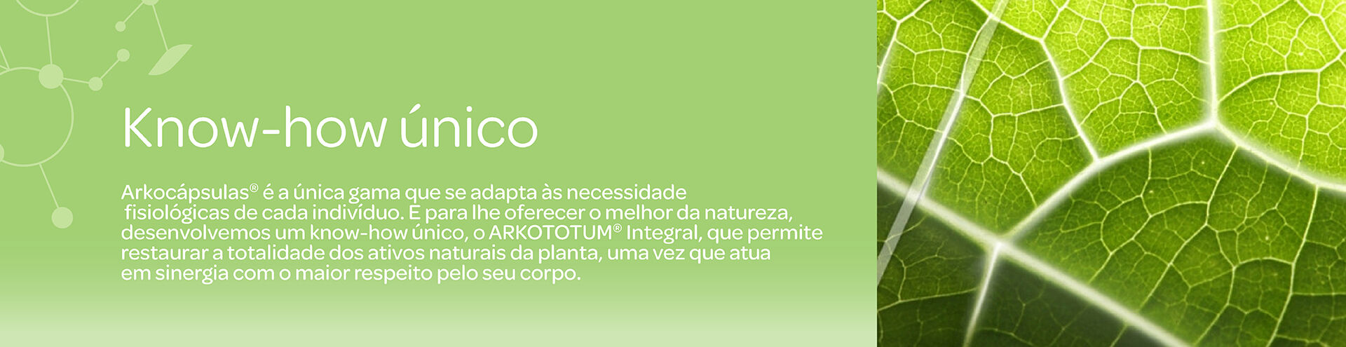 Arkoc&aacute;psulas Know How &Uacute;nico