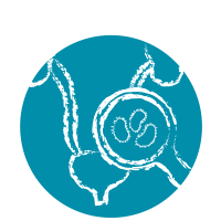 Icon Incontin&ecirc;ncia e infe&ccedil;&otilde;es urin&aacute;rias