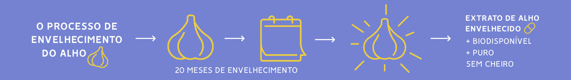 Kyolic Explica&ccedil;&atilde;o extrato de alho envelhecido