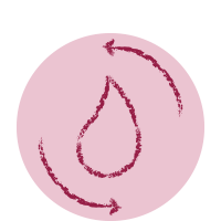 Icon ciclo menstrual bem-estar sexual