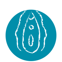 Icon Secura e irrita&ccedil;&atilde;o na vulva