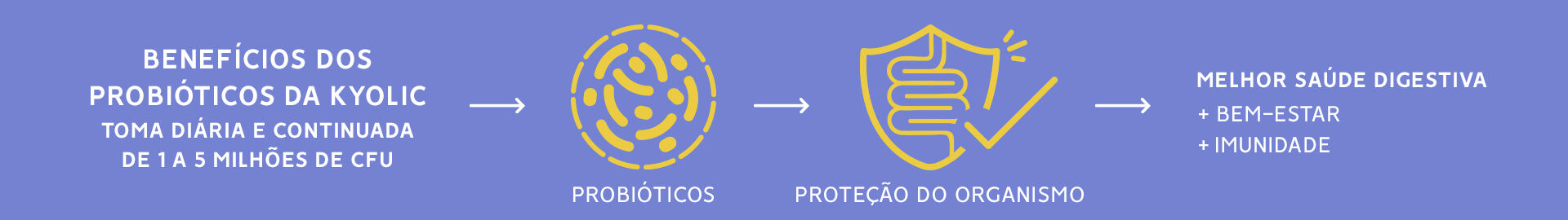 Kyolic Benef&iacute;cios Probi&oacute;ticos