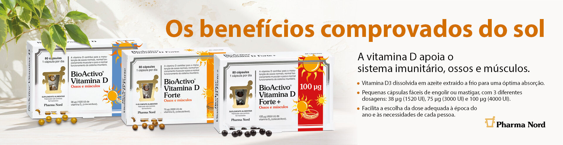Bioactivo Vitamina D 